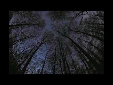 Walk Again Video