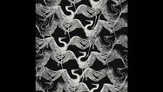 Birds of Mind - Ankara (NU Remix)