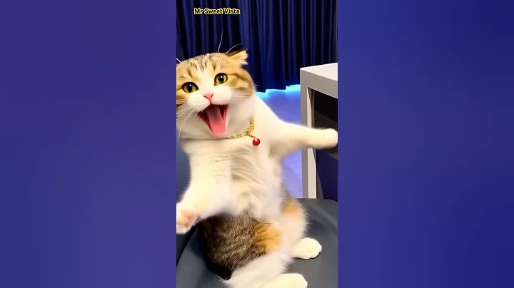 Watch the video about Cute Cats Funny Moments 😹💕 | Adorable & Hilarious 🐾 #Shorts #pets #viral #cats