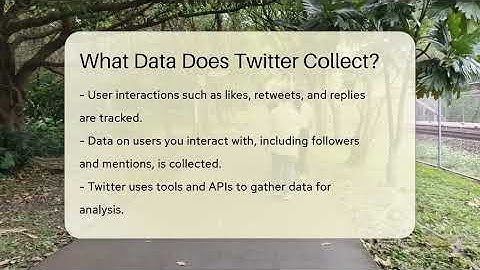 What Data Does Twitter Collect? - Everyday-Networking