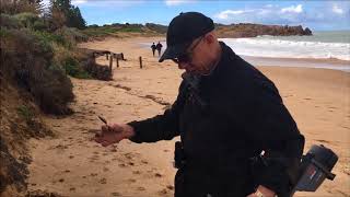 Detecting on the beach at Port Elliot in South Australia