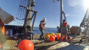 One Minute Sediment Trap Recovery