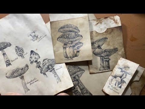 How to draw mushrooms and toadstools- quickie sketch