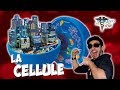 La cellule  une ville magnifique  bmshow