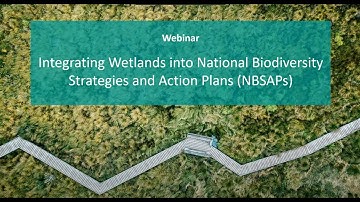 Webinar: Integrating Wetlands into National Biodiversity Strategies and Action Plans (NBSAPs)
