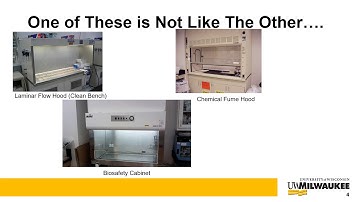 Module 4 Primary and Secondary Containment