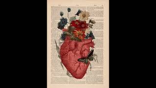 Profil Şəkilləri Ən Gözəl Ki Gözdən Keçirməyi Unutmayın Teşekkürler