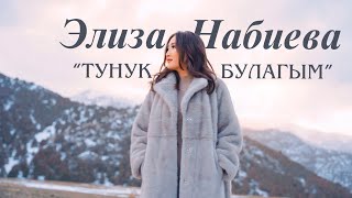 Элиза Набиева - Тунук булагым | КАВЕР 4К