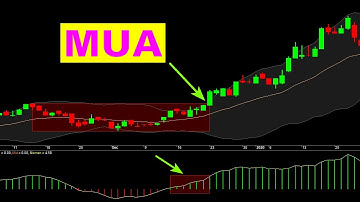 F186 - Cách Chọn Cổ Phiếu Tích Lũy và Breakout Tốt Nhất