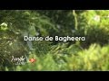 La jungle danse  danse de bagheera