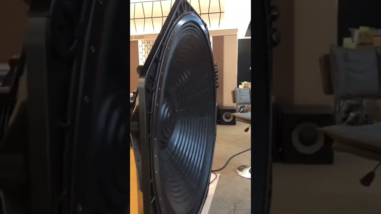 A Supper Huge Speaker What Is It Used For Shorts