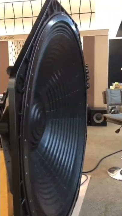 a supper huge speaker,  what is it used for？  #shorts