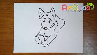 How To Draw A Husky Face - Draw Easy