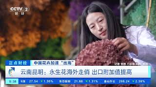 [正点财经]中国花卉加速“出海” 云南昆明：永生花海外走俏 出口附加值提高 |  财经风云