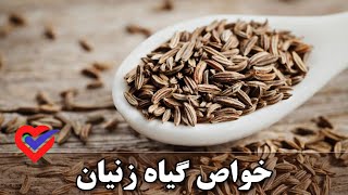 خواص گیاه زنیان  + لاغری سریع و راحت با زنیان screenshot 5