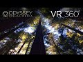 REDWOOD FOREST NATIONAL PARK, CALIFORNIA - IMMERSIVE 360° VR EXPERIENCE