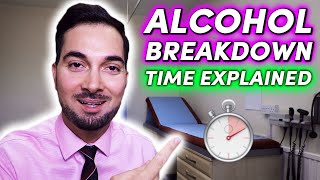 How Long Does Alcohol Stay In Your System