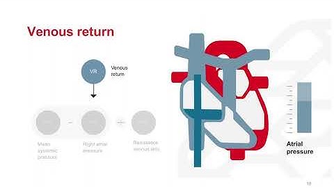 Dr. Simon Davies on Cardiovascular Physiology & Pressure/Flow