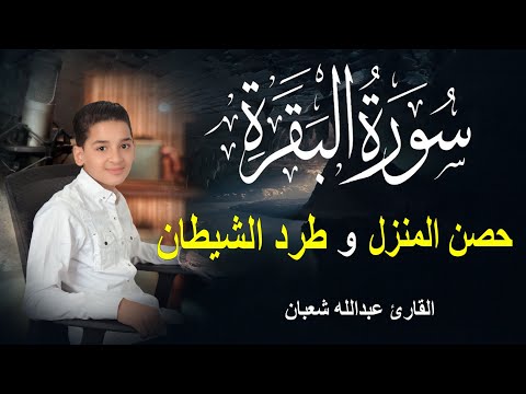 سورة البقرة كاملة لحفظ المنزل و رقية من السحر وجلب البركة القارئ عبدالله شعبان  
