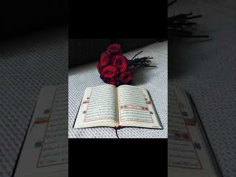 Suuratul Fussilat Mee Yaa Rabbi Saahiba Qur Aanaa Nu Taasisi