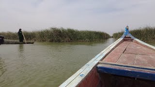 Lost in the Mesopotamian Marshes, Southern Iraq || Iraq Travel Vlog