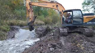 Impact of the removal of 2 beaver dams