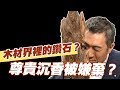 【精華版】木材界裡的鑽石？尊貴沉香被秦嗣林嫌棄？