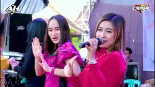 NEMEN - ALL ARTIS DK MUSIK LIVE WERDOYO DEMAK‼️WEDDING YOUTUBER MAHMUDI KELUARGA XL