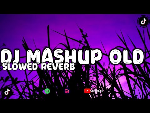 DJ MASHUP OLD SLOWED REVERB BY DJ DANVATA VIRAL TIKTOK 2024 !!! 🎧
