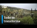 Aprovechar las oportunidades de la crisis ambiental - Programa completo