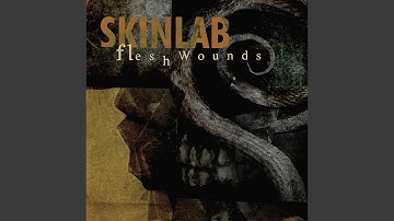 Flesh Wounds