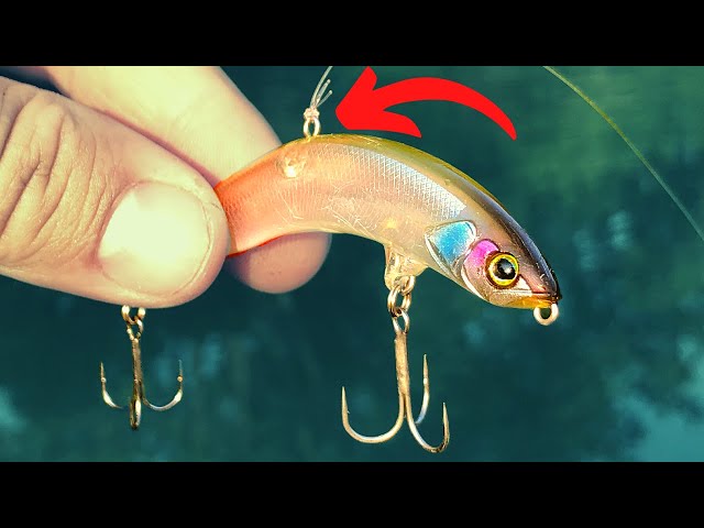 This NEW Japanese LURE Is A WACKY RIGGED TOPWATER?? (The PikuPiku) 