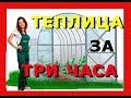 ТЕПЛИЦА СВОИМИ РУКАМИ Теплица из поликарбоната ПРЕМИУМ теплица ЗА ТРИ ЧАСА Такого ты еще НЕ ВИДЕЛ