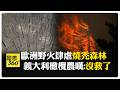 熱浪造就完美風暴！ 西班牙野火燒掉一個台北市面積 南法濃煙蔽天驚傳2死 【國際360】20260722@全球大視野Global_Vision