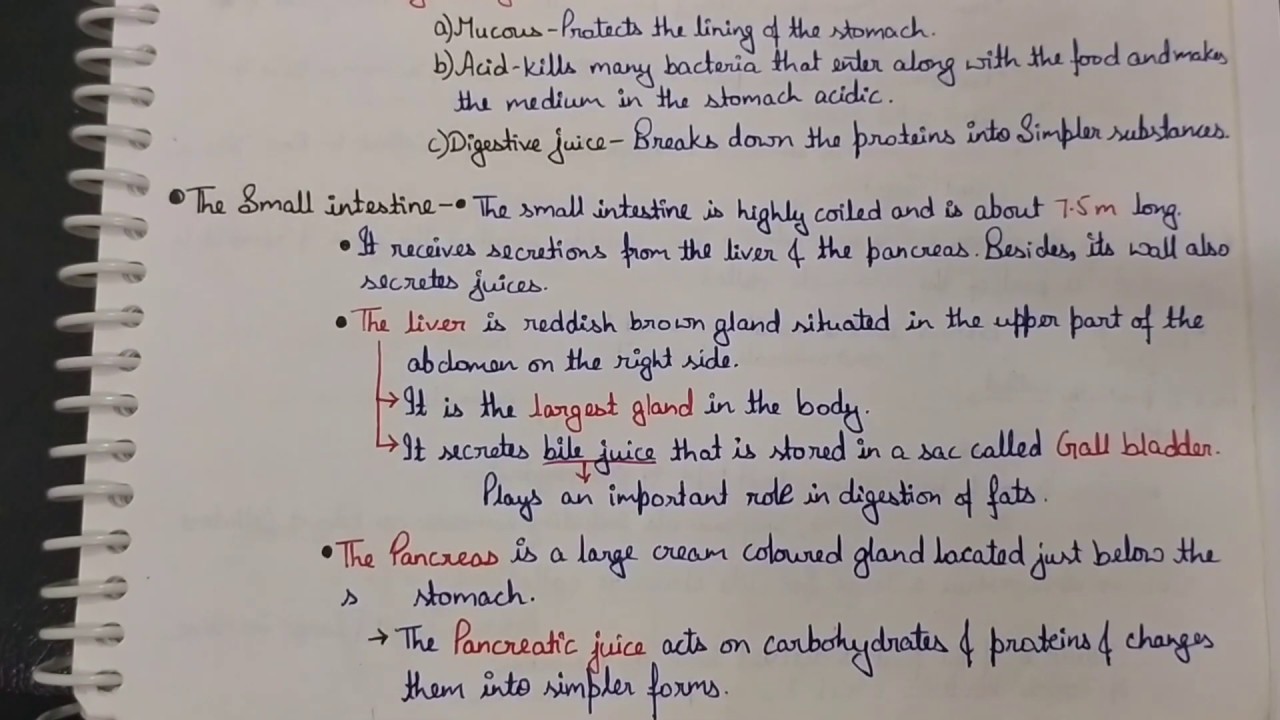 case study class 7 science chapter 2