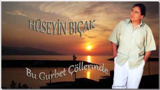 Hüseyin Biçak - Bu Gurbet Çöllerinde Resimi
