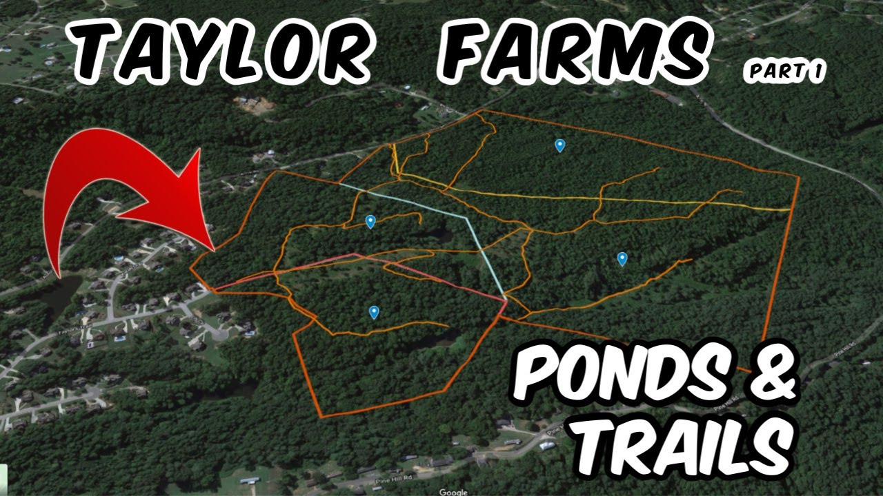 22 & 26 Acres Home Sites Ponds, Alabama land for sale Taylor