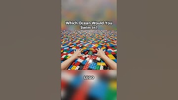 Which Ocean Would You Swim In?