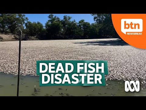 Millions of Dead