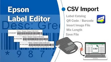 CSV Import - Epson Label Editor -