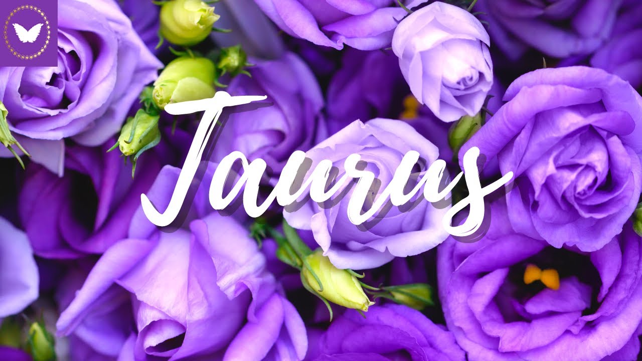 Taurus you have the key to their heart! 💖 December 2021 Tarot Reading