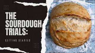 The Sourdough Trials : Getting Started with King Arthur Flour Unboxing