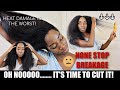 OLAPLEX for HEAT DAMAGED HAIR Did it STOP BREAKAGE?? LENGTH CHECK, CURL PATTERN Check, Full UPDATE