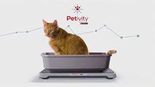 Developed by Vets, this Smart Device is Transforming Cat Care | Petivity