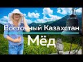 МЕДОВОЕ путешествие в Катон Карагайский район в Восточном Казахстане/Life is Food с Еленой Кукеле