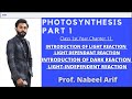 what is photosynthesis | A brief introduction | dark reaction | light reaction