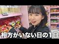 【偽とんず】とんずがいなかったので、花妃が勝手にとんず生活してみた【はるかぜに告ぐ】