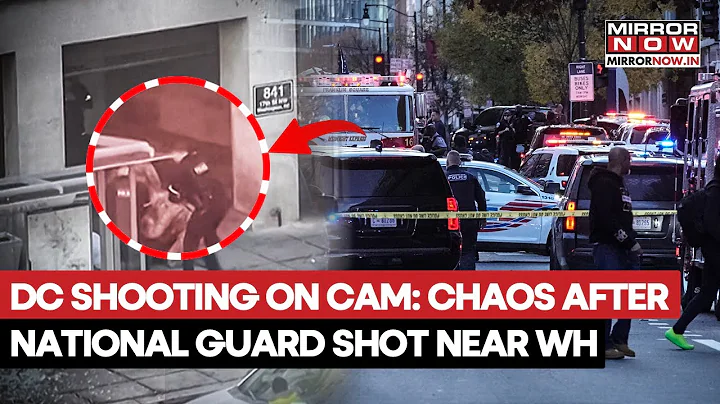 Washington DC Shooting On Cam: Chaos After 2 National Guard Shot Near White House, Suspect Held