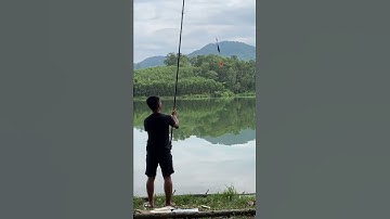 #shorts Săn Thuỷ Quái Khe Là Ngày 3