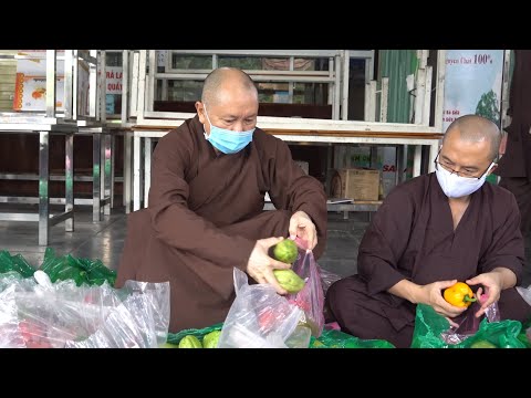 Video Chùa Hoằng Pháp hỗ trợ RAU đến người dân trong đại... - youtube